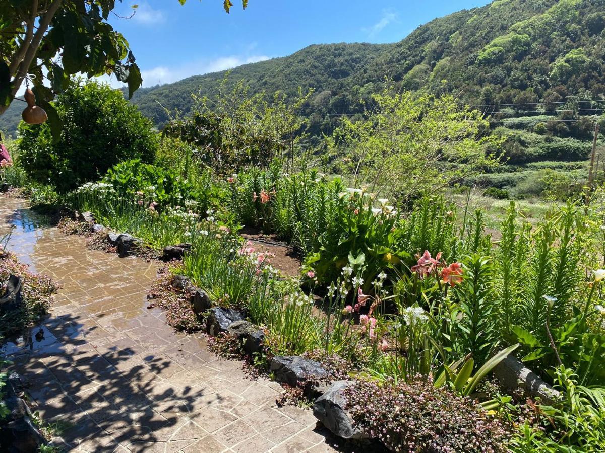 Agulo Casas Medinaヴィラ エクステリア 写真