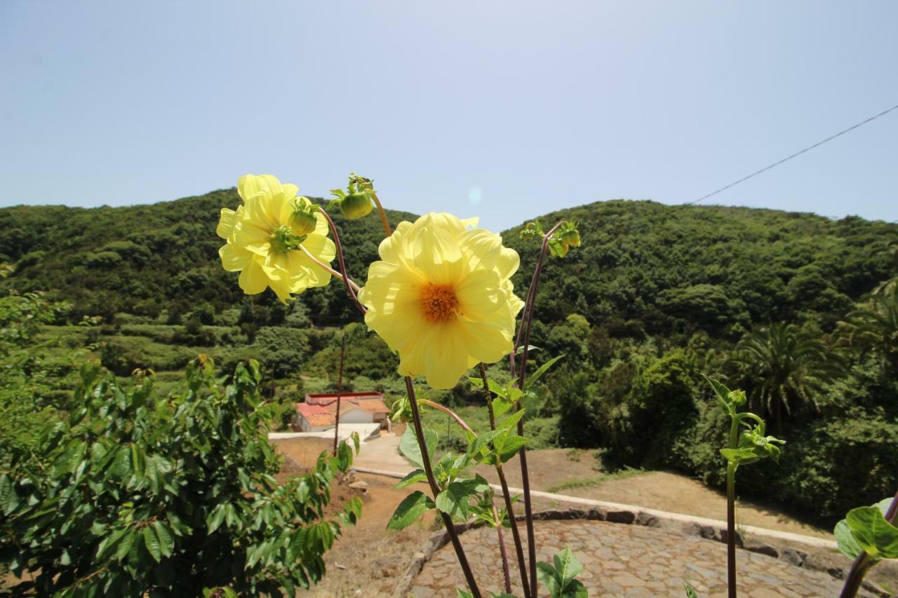 Agulo Casas Medinaヴィラ エクステリア 写真